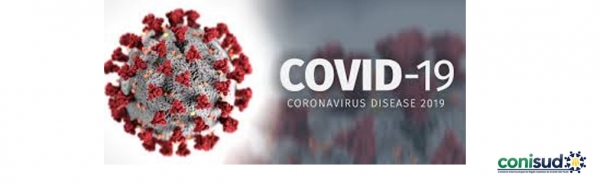 CORONAV&Iacute;RUS