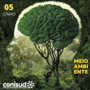 DIA DO MEIO AMBIENTE!